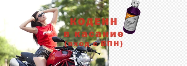 прущие грибы Аркадак
