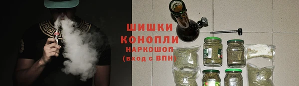 прущие грибы Армянск
