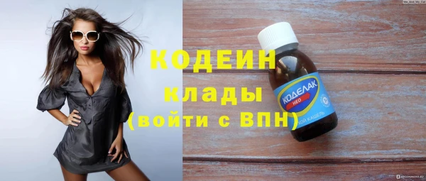 прущие грибы Армянск
